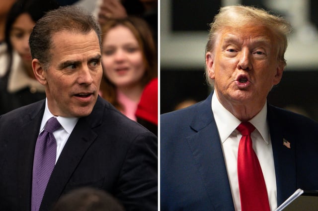Hunter Biden looks at Donald Trump: composite