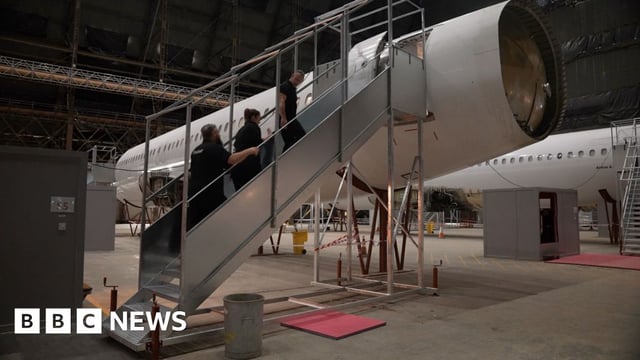 Immigration enforcement staff board training plane
