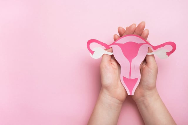 image: @Elena Nechaeva | iStock