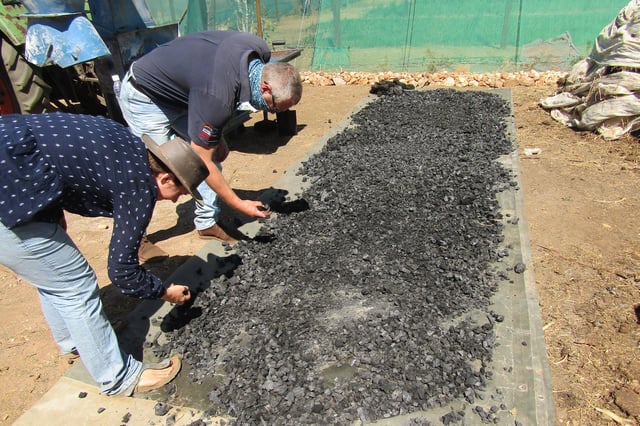 People check semi-processed biochar at a farm near Windhoek, Namibia. Credit: Musa C. Kaseke / Alamy Stock Photo