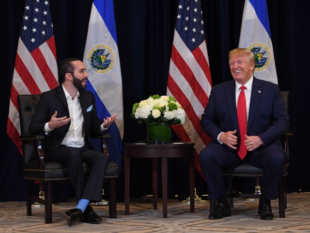 US President Donald Trump and President Nayib Bukele of El Salvador hold a meeting in New York, on September 25, 2019, on the sidelines of the United Nations General Assembly. (Photo by SAUL LOEB / AFP) (Photo credit should read SAUL LOEB/AFP via Getty Images)