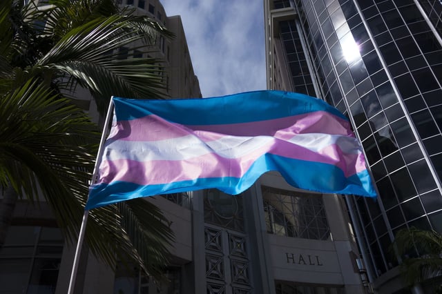 A transgender flag is seen waving during the We Wont Be Erased transgender rights movement during a gathering at City Hall in Orlando, Florida on Saturday, October 27, 2018. (Alex Menendez via AP)