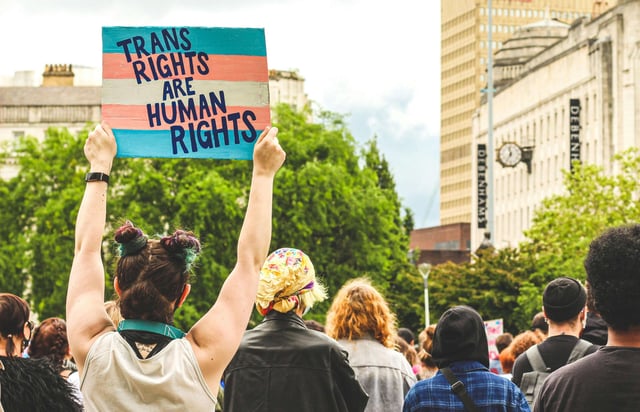 A sign reads 'trans rights are human rights', held by a person facing away during a protest