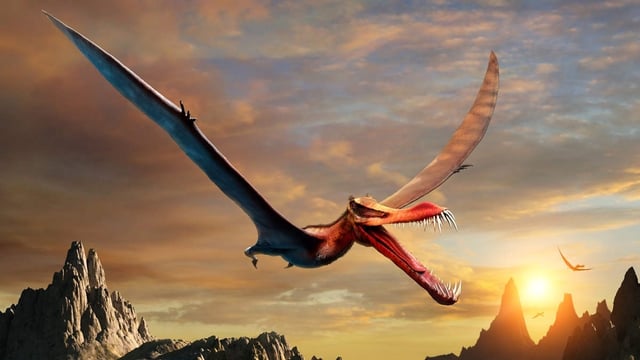 pterosaur illustration over jagged mountains at sunset