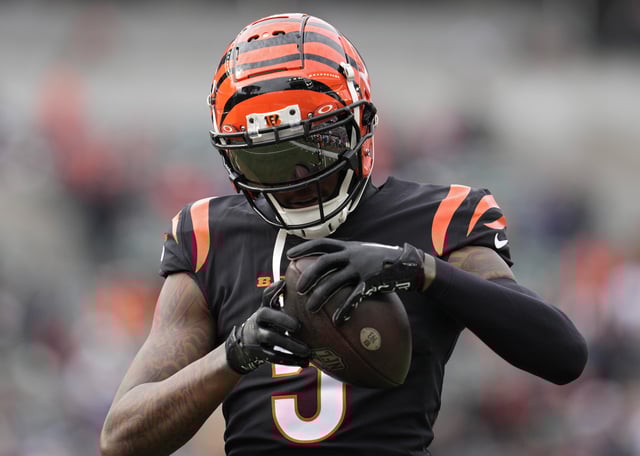 Tee Higgins
