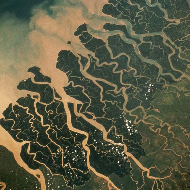 Satellite image of a river delta