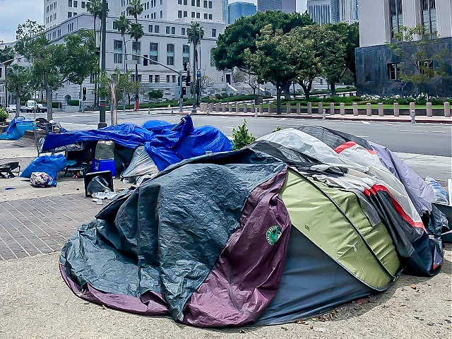 "Unhoused" in Los Angeles
"Unhoused" in Los Angeles
"This is what the Mayor sees as he arrives to his office, and likely sees out his office window, too. The encampment surrounds City Hall. for blocks."