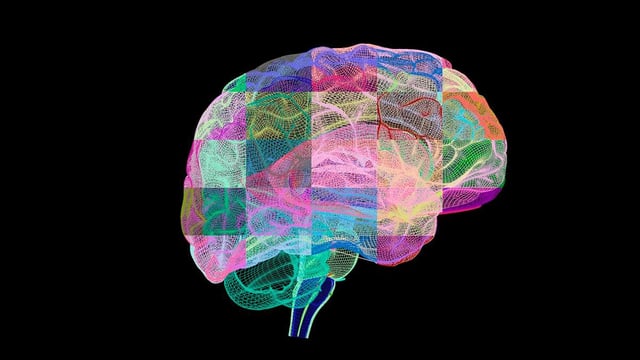 abstract image of brain