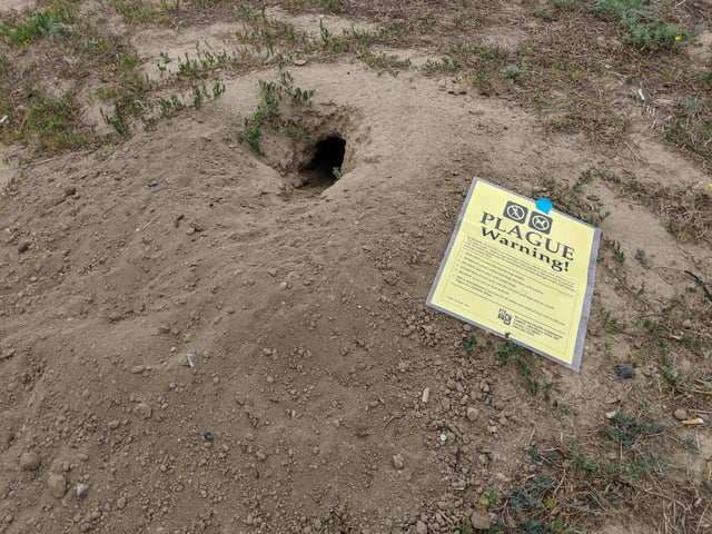 General view of a plague warning sign on a prairie dog mound outside of the main gates of Dick's Sporting Goods Park before the match between the San Jose Earthquakes against the Colorado Rapids in Commerce City, Colorado, on Aug 10, 2019.