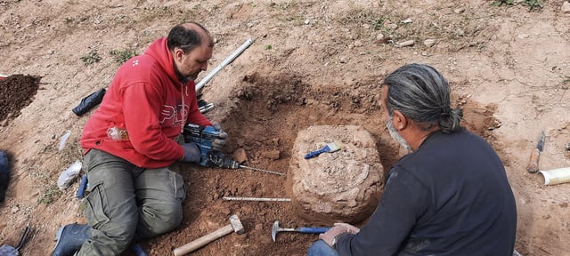 Martin De Los Reyes (left) and Guillermo Jofré, two of the researchers involved in the study, unearth the fossil of an extinct ice age armadillo relative known as Neosclerocalyptus.