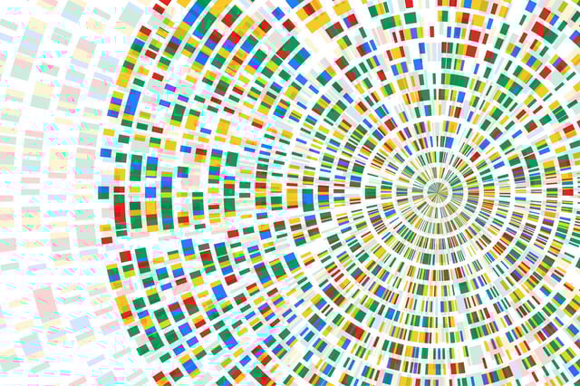 Genetics Genome Sequence DNA Map