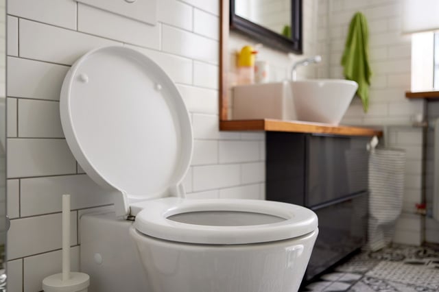 Bowel movement frequency could influence many other health factors, a new study suggests.