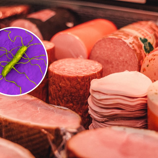 Photo of pre-cooked deli meat with an inset of an illustration of Listeria. The current outbreak has been linked to sliced deli meats.