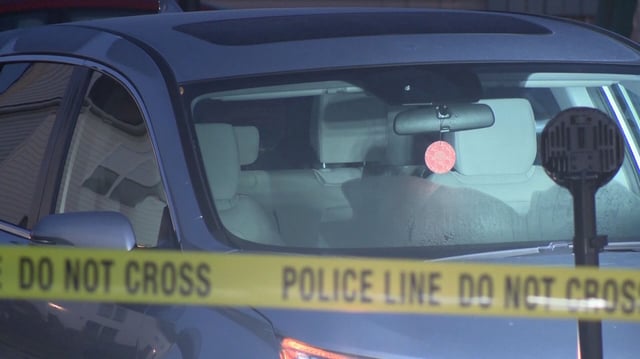 A 19-year-old man and two 16-year-old were charged with murder Wednesday after an Ohio woman was run over by her own vehicle during a botched carjacking.