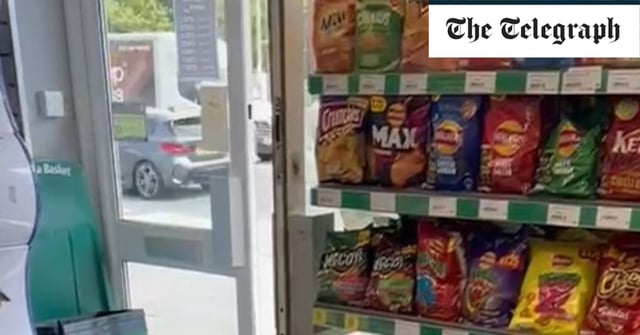 'Steven Seagull' has pilfered around 30 packets of crisps in the past two months alone