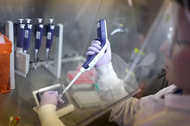 H5N1 has been around for decades but the current avian flu version is jumping from birds to cattle and humans. No serious illnesses have been reported from avian flu in the United States.