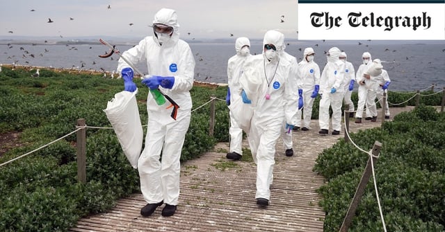 The UKHSA said it is primed to initiate a public health response in the event of a widespread human bird flu outbreak