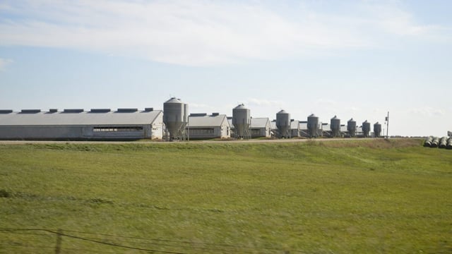 Smithfield Foods, Chinese owned