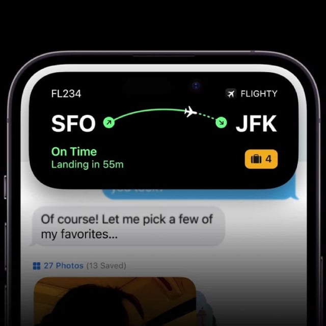 Flighty iPhone app