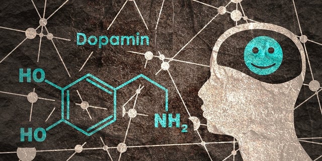 Among other things, dopamine can affect our feeling of happiness. (Illustration: Shutterstock, NTB/Norwegian University of Science and Technology)