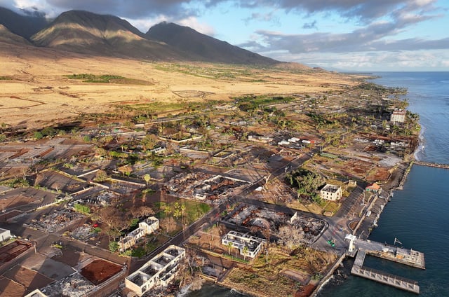 LAHAINA, HAWAII - AUGUST 04: An aerial view of vegetation regrowth amid areas destroyed or damaged by the Lahaina wildfire, including the iconic banyan tree (RIGHT C), on August 4, 2024 in Lahaina, Hawaii. August 8 marks the one-year anniversary of the Maui wildfires which killed 102 people and devastated the historic community of Lahaina in West Maui. Plaintiffs involved in the Lahaina wildfire lawsuits against the government and utilities have reached a $4 billion global settlement of claims. (Photo by Mario Tama/Getty Images)
