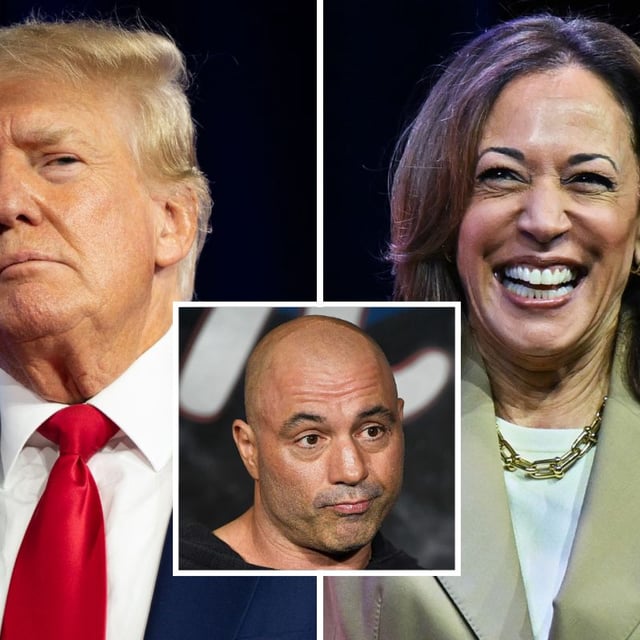Donald Trump on August 6, 2022, in Dallas, Texas, Vice President Kamala Harris on July 13, 2024, in Philadelphia, Pennsylvania, and Joe Rogan on November 1, 2017, in Pasadena, California. Rogan has praised Harris and shared his concern for Trump.