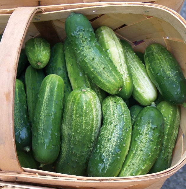 Market cucumbers