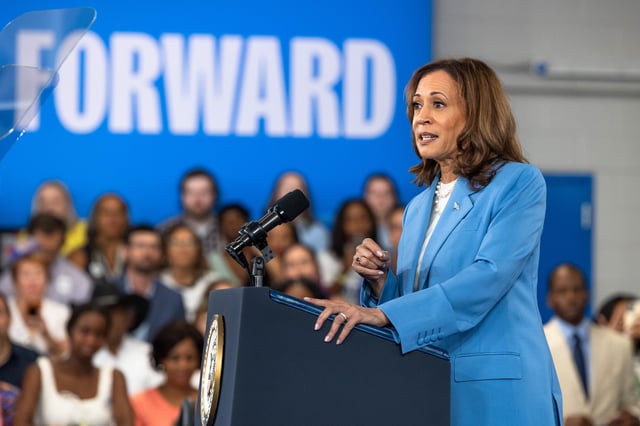 Kamala Harris Economy Price Gouging Plan Criticism