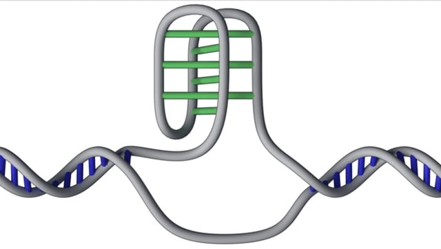 There Are 50,000 Knots In Your DNA And They’ve Just Been Mapped