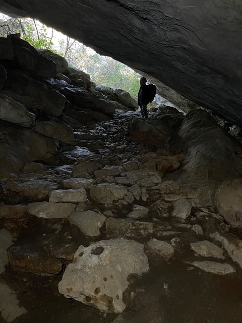 A stone path can be seen at the entrance to Genovesa Cave on Mallorca.