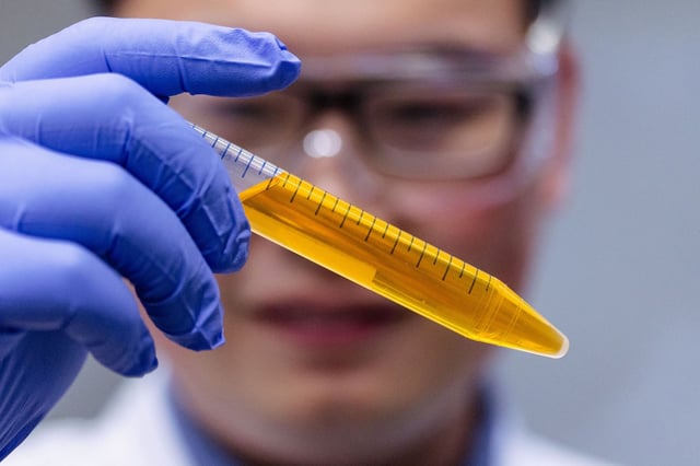 Zihao Ou eyes a vial of dye solution. Ou, an assistant professor of physics at the University of Texas at Dallas, is the first author of a new study that uses food dye to make mouse skin temporarily transparent.