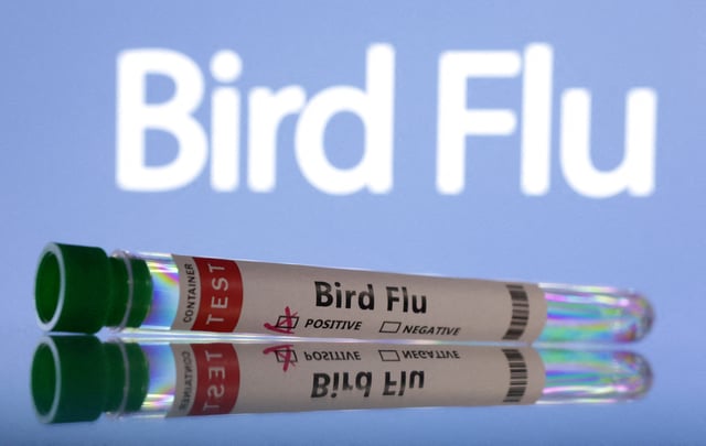Test tubes are seen labelled "Bird Flu" words in this illustration taken, June 10, 2024. REUTERS/Dado Ruvic/Illustration/File Photo