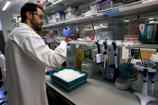 Scientists say they are concerned that the bird flu virus infecting dairy cows and poultry flocks in the US will have opportunities to become a more dangerous virus over the fall and winter.
