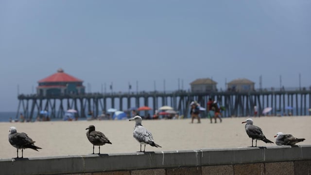 Huntington Beach, CA - July 21: A view of the Huntington Beach Pier on Wednesday, July 21, 2021, in Huntington Beach, CA. (Madeleine Hordinski / Los Angeles Times)