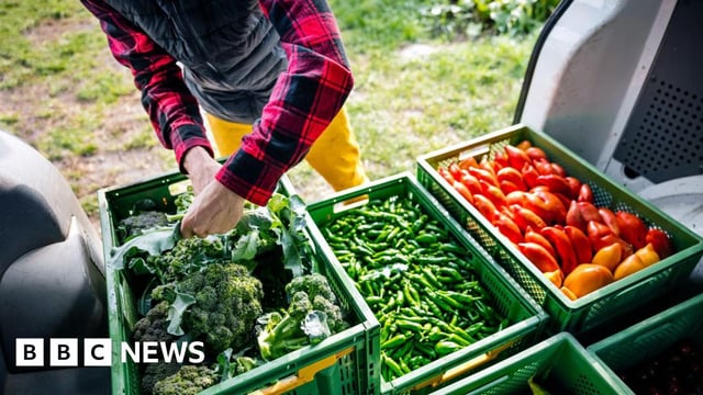 Farmer sorting vegetables in boxes in a white van