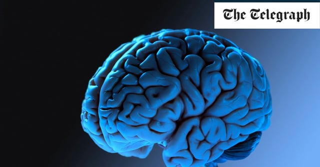 A study found that politically right-leaning voters tend to have a larger amygdala