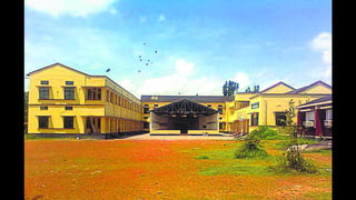 Hero image